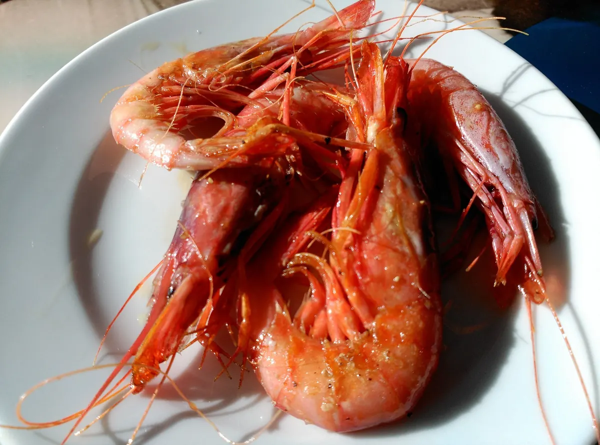 Gamba roja a la plancha
